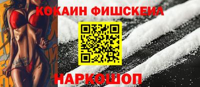 индика Кандалакша