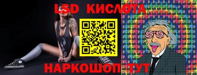 индика Кандалакша