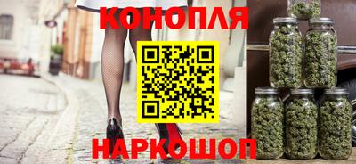 МДПВ Будённовск