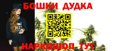 индика Кандалакша