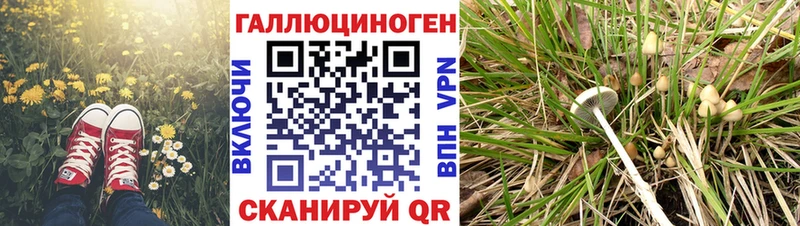 Галлюциногенные грибы GOLDEN TEACHER  продажа наркотиков  Советская Гавань 