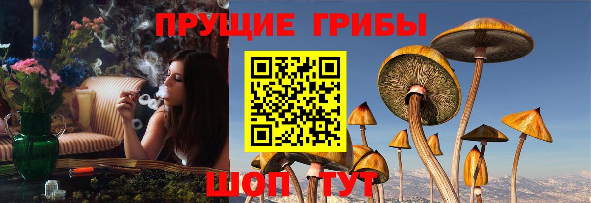 АМФЕТАМИН Советская Гавань