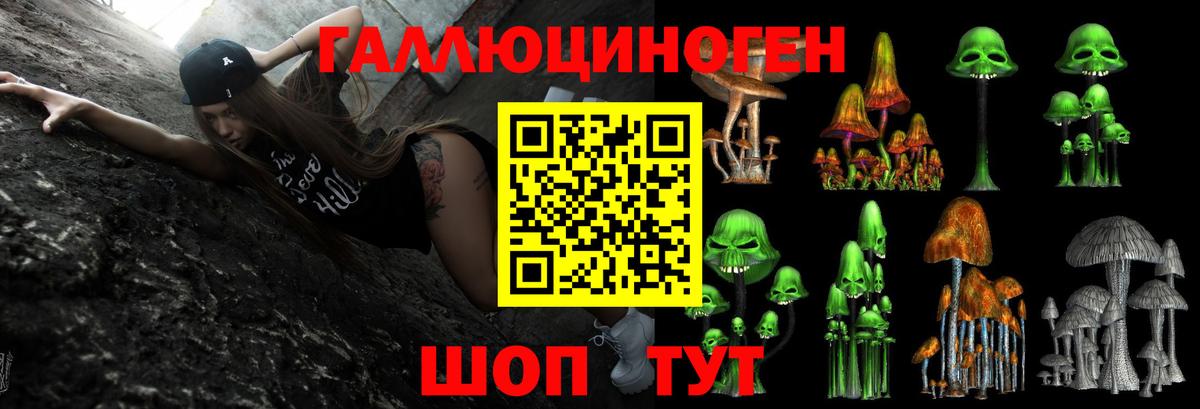 Галлюциногенные грибы прущие грибы Советская Гавань