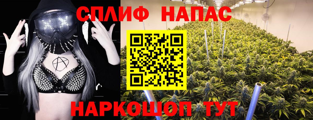 Канабис OG Kush Советская Гавань